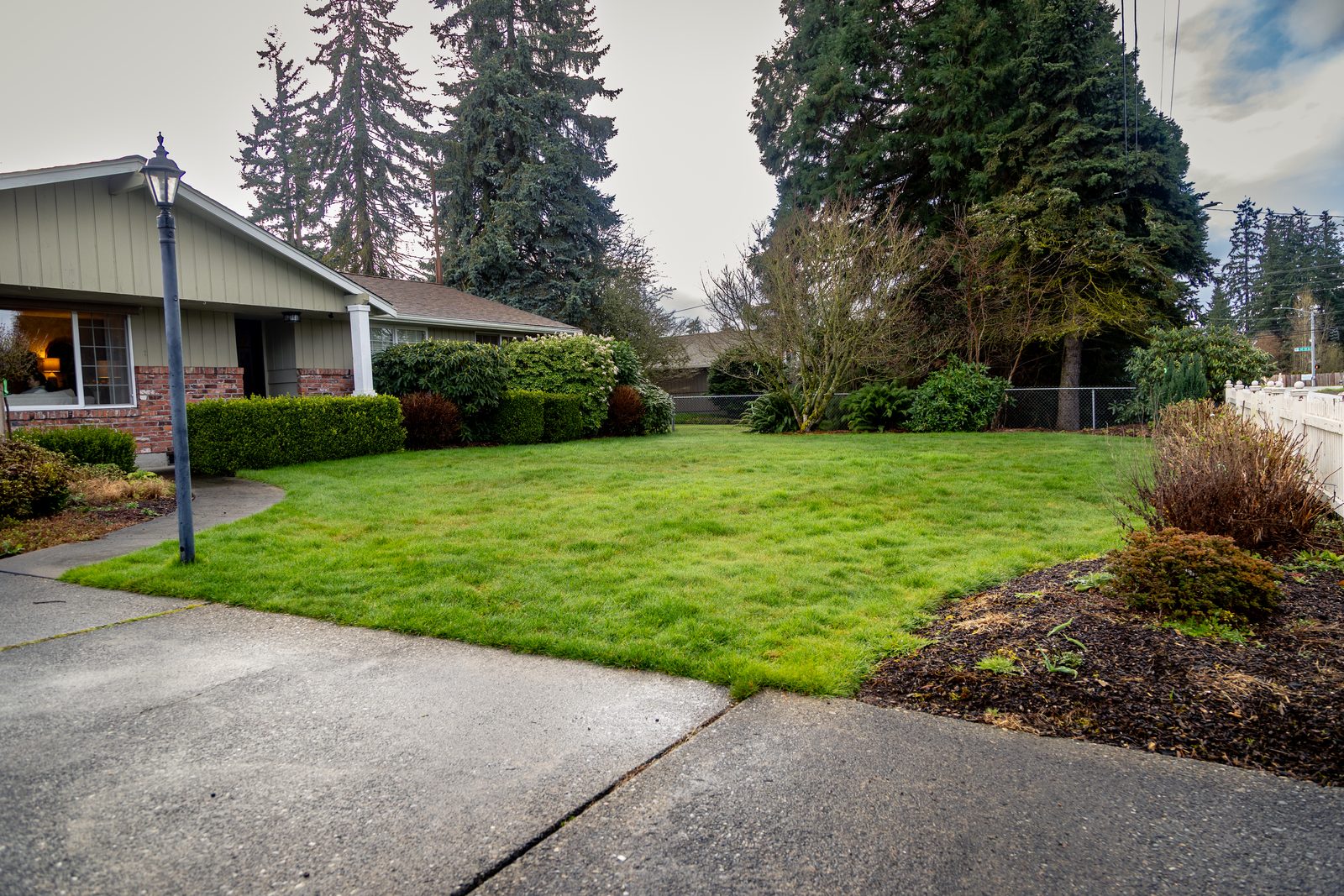 The Richmond front yard in Tacoma, WA before renovation — a tired, overgrown lawn and dated foundation shrubs in front of a brick-and-cedar rambler