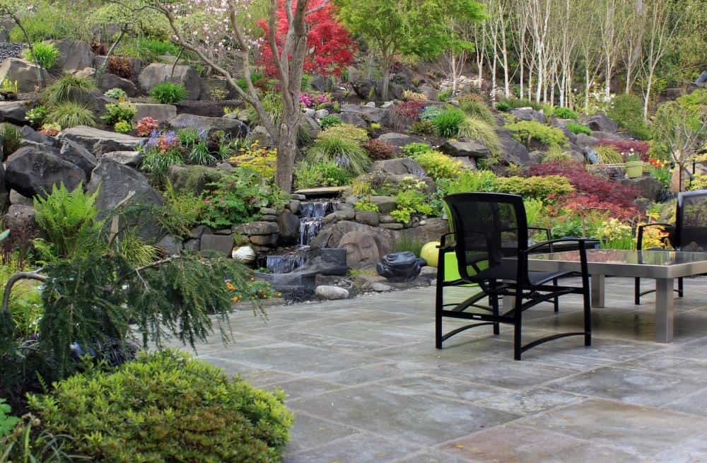 Backyard patio and plantings, Tacoma