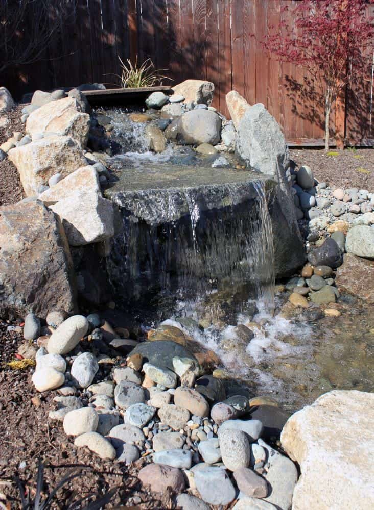 Openshaw Backyard — Tacoma, WA — image 2