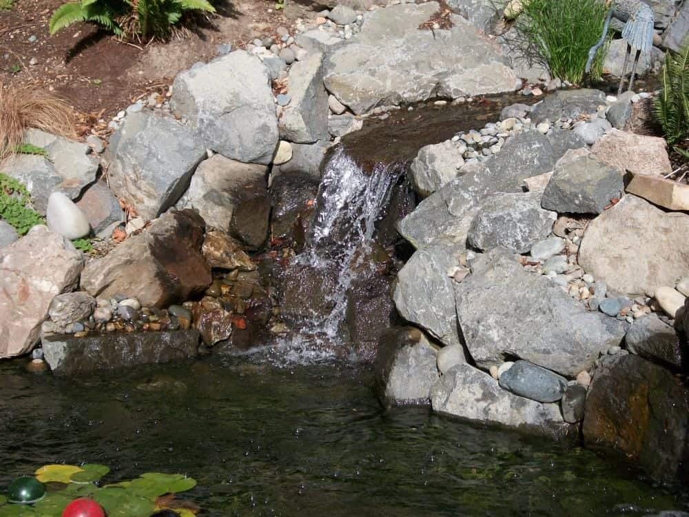 Tripple Backyard Retreat — Tacoma, WA — image 4
