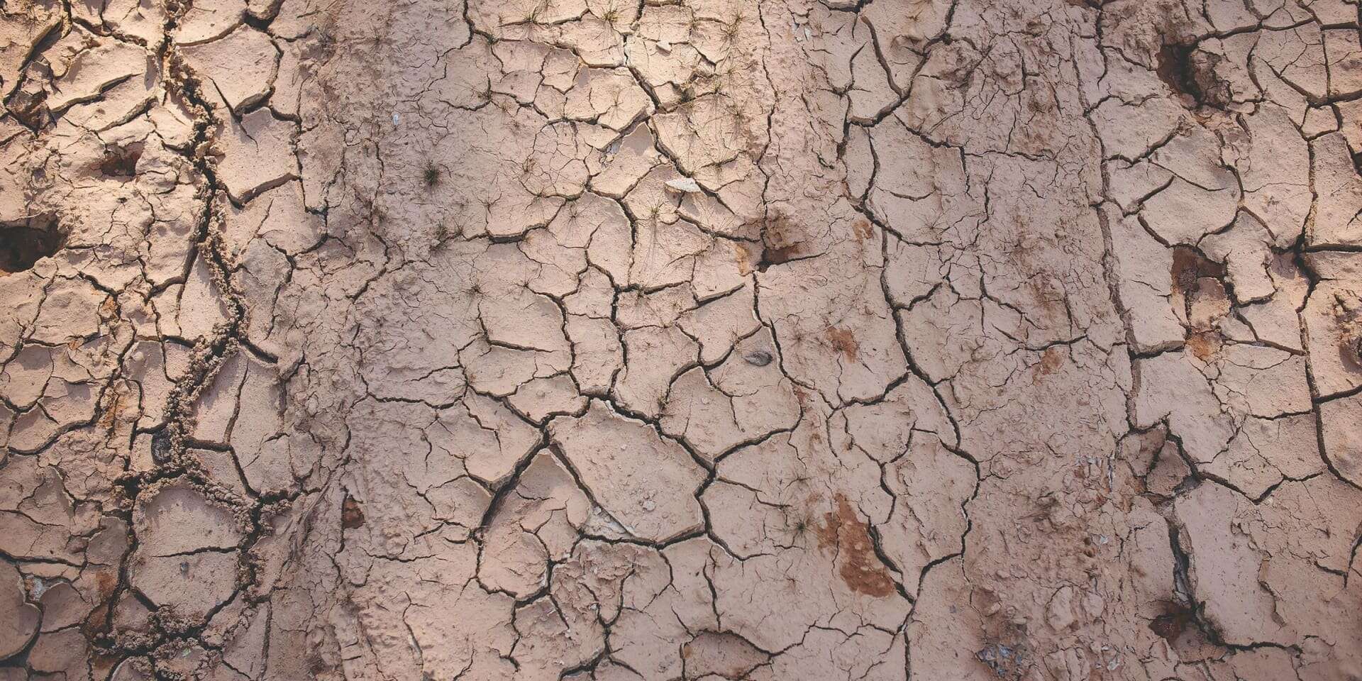 Amending Clay Soil Without Tilling