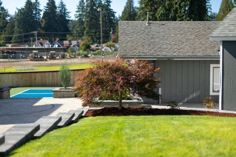Fircrest Renovation — image 2