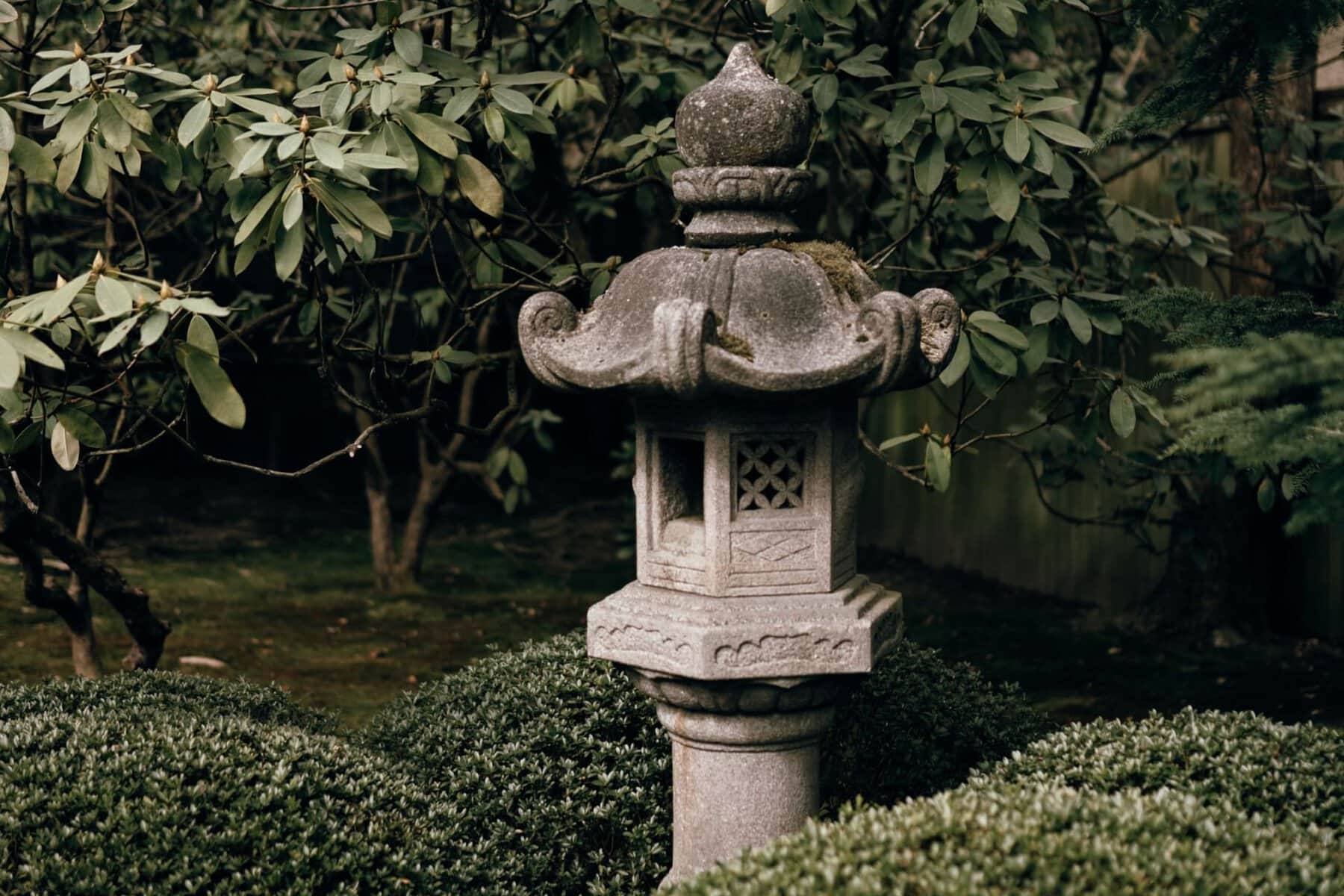 evergreen landscape design