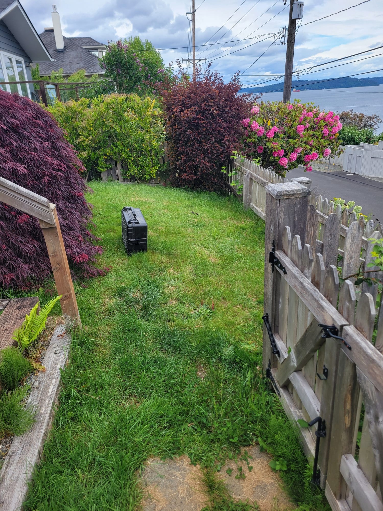 A small lawn at the top of the slope inside a weathered picket fence and gate, with a red laceleaf maple and the water beyond