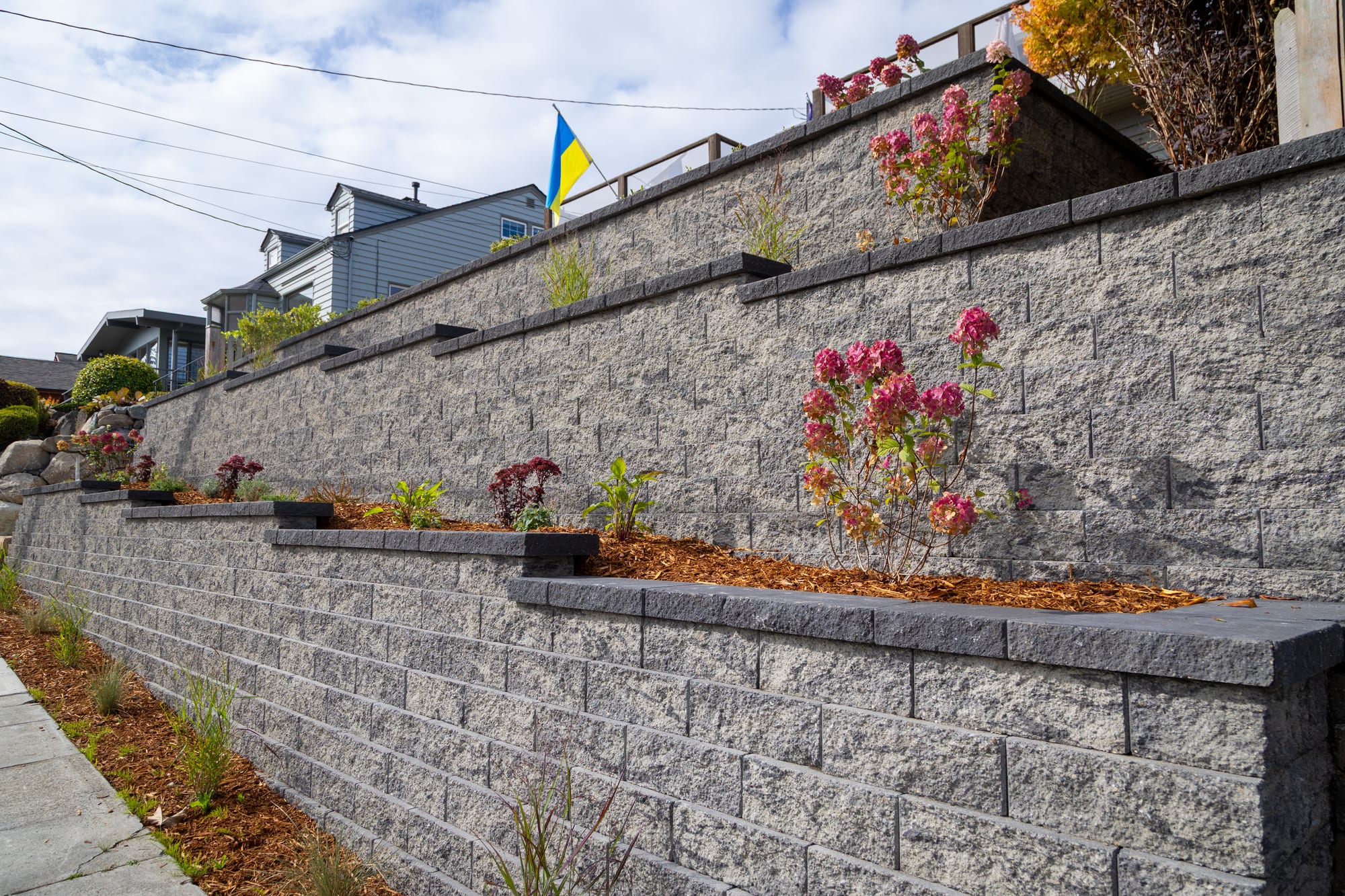 A low view along the lower wall tiers, with hydrangeas growing in the planting terraces